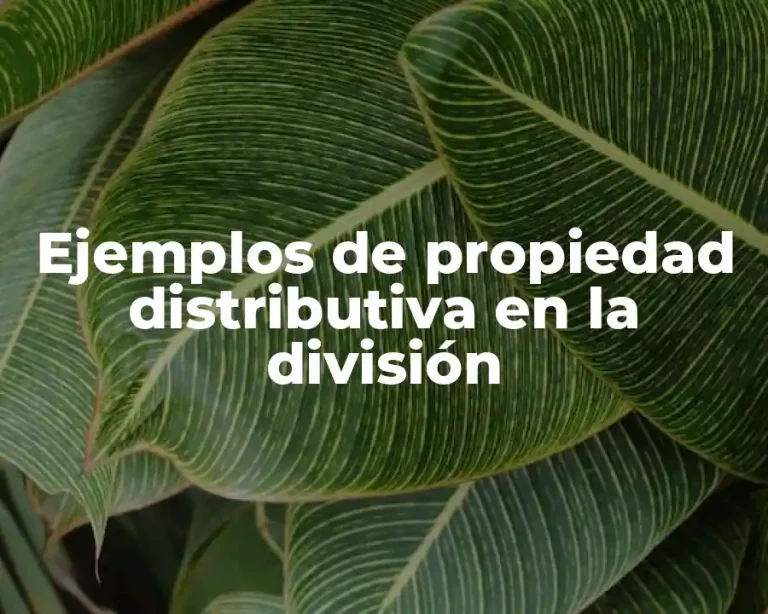 Ejemplos de propiedad distributiva en la división