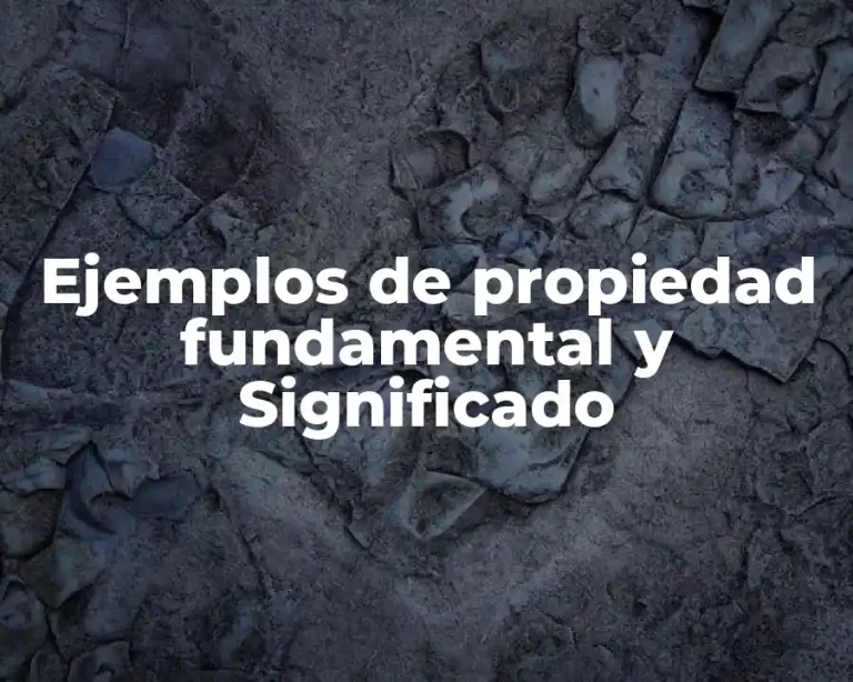 Ejemplos de propiedad fundamental y Significado