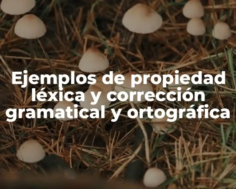 Ejemplos de propiedad léxica y corrección gramatical y ortográfica