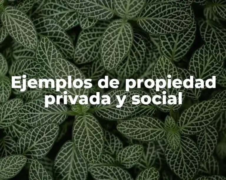 Ejemplos de propiedad privada y social