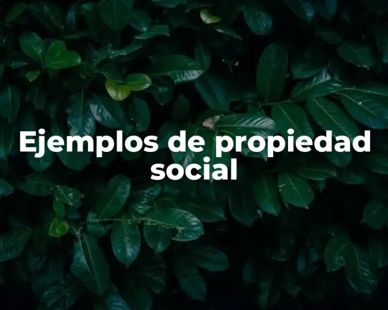 Ejemplos de propiedad social