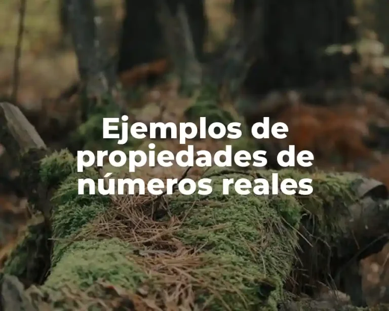 Ejemplos de propiedades de números reales