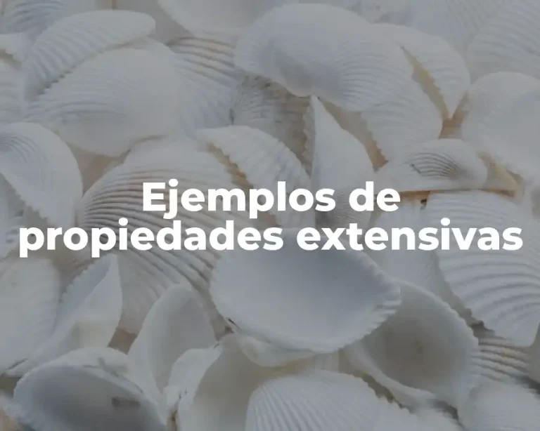 Ejemplos de propiedades extensivas