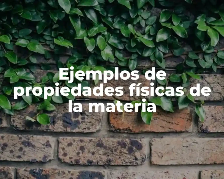 Ejemplos de propiedades físicas de la materia