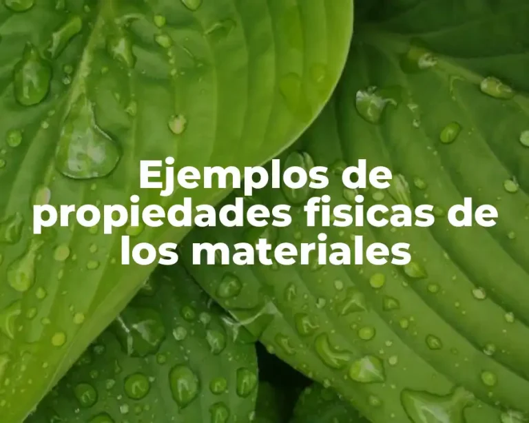 Ejemplos de propiedades fisicas de los materiales