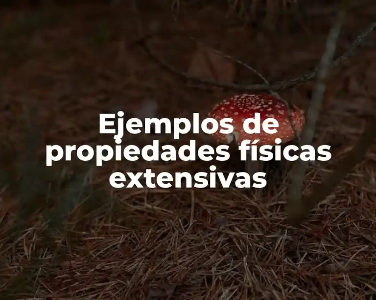 Ejemplos de propiedades físicas extensivas