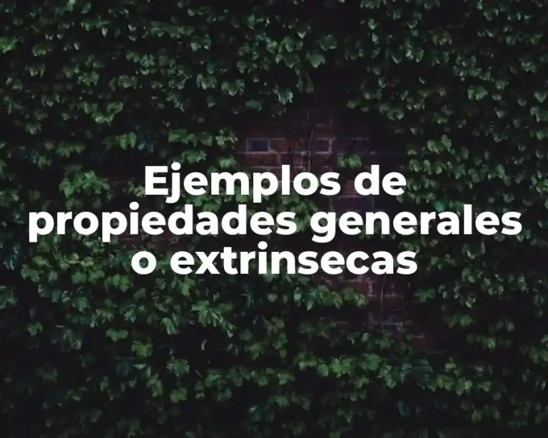 Ejemplos de propiedades generales o extrinsecas