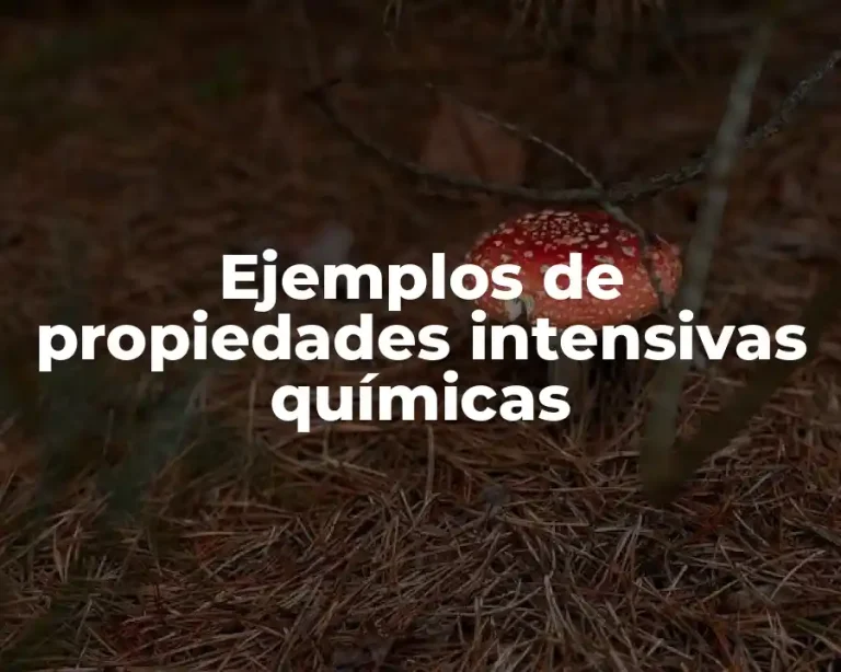Ejemplos de propiedades intensivas químicas
