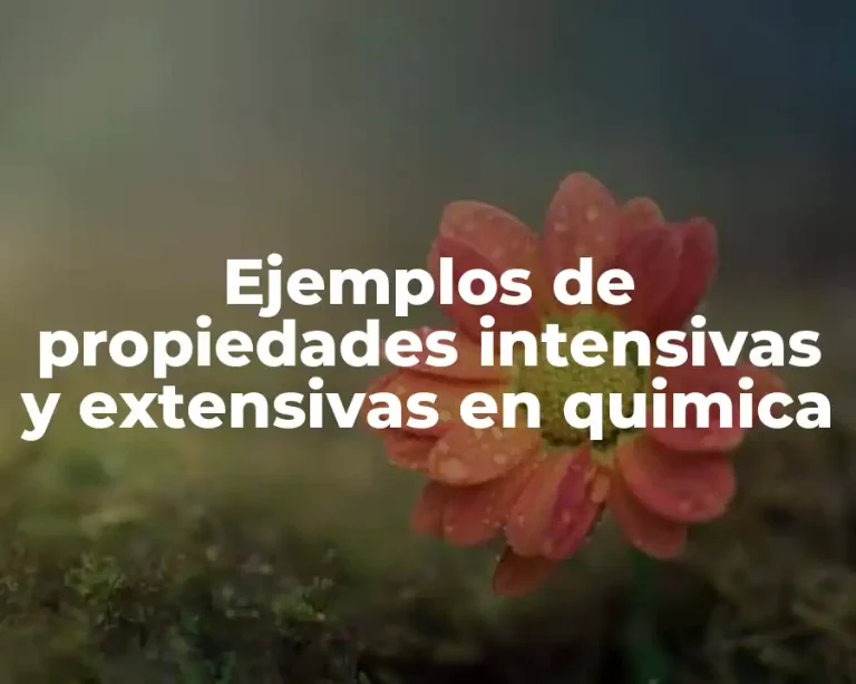 Ejemplos de propiedades intensivas y extensivas en quimica