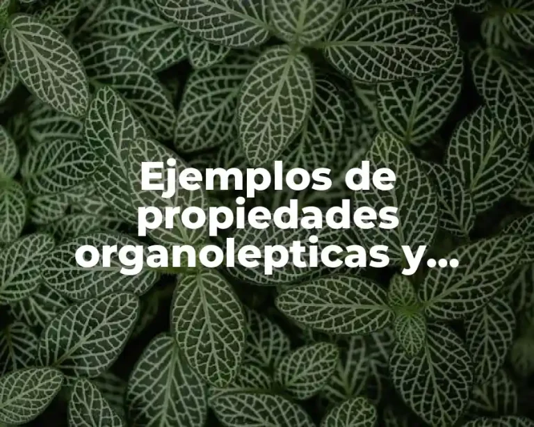 Ejemplos de propiedades organolepticas y Significado