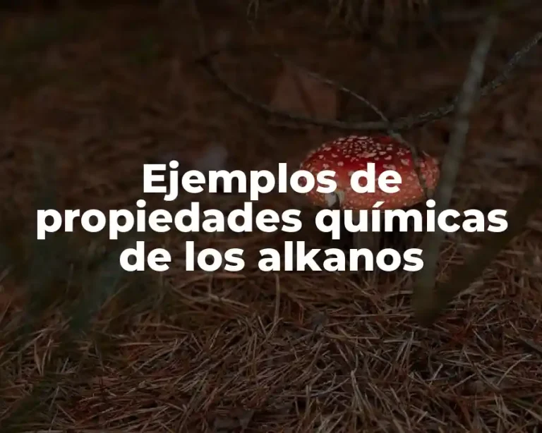 Ejemplos de propiedades químicas de los alkanos