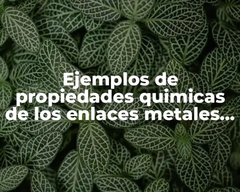 Ejemplos de propiedades quimicas de los enlaces metales y Significado