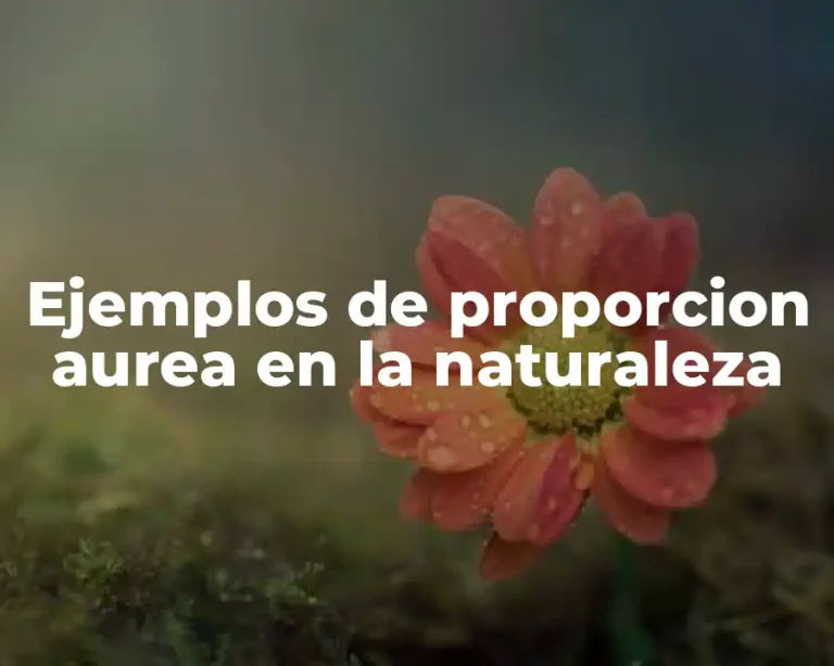 Ejemplos de proporcion aurea en la naturaleza
