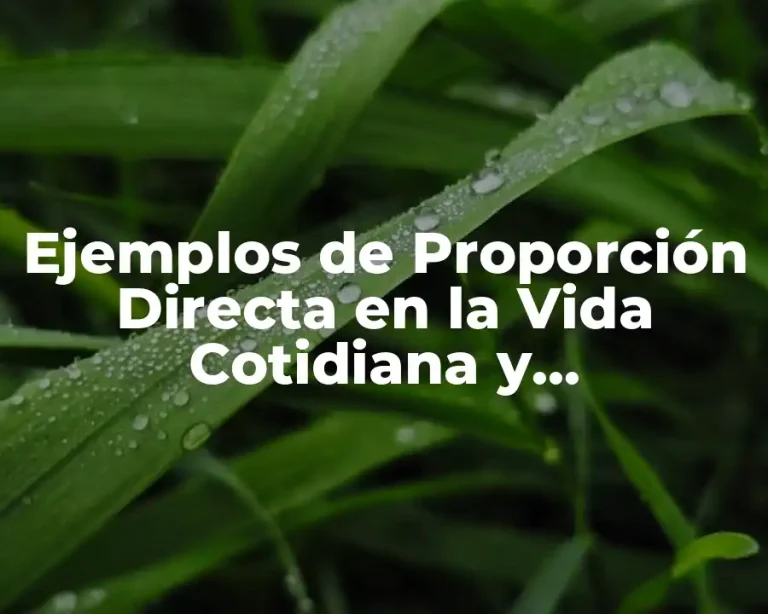 Ejemplos de Proporción Directa en la Vida Cotidiana y Justificación y Significado
