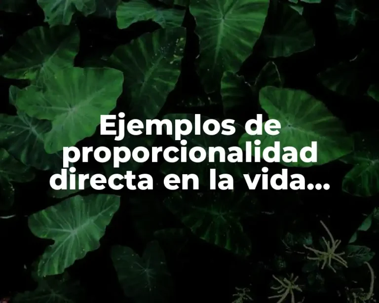 Ejemplos de proporcionalidad directa en la vida cotidiana
