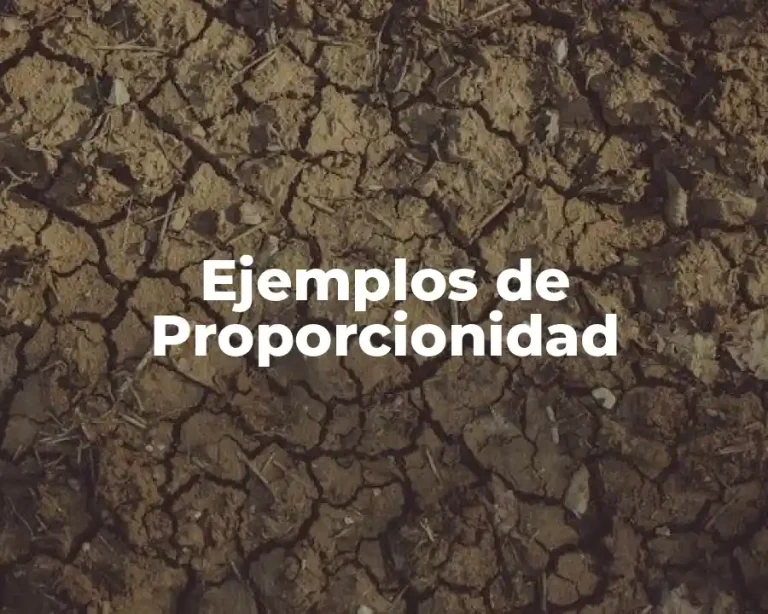 Ejemplos de Proporcionidad
