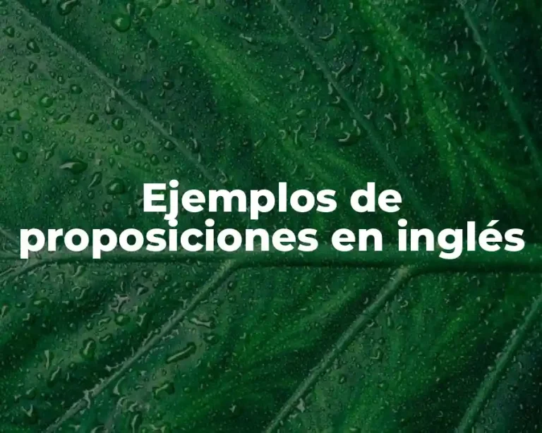 Ejemplos de proposiciones en inglés