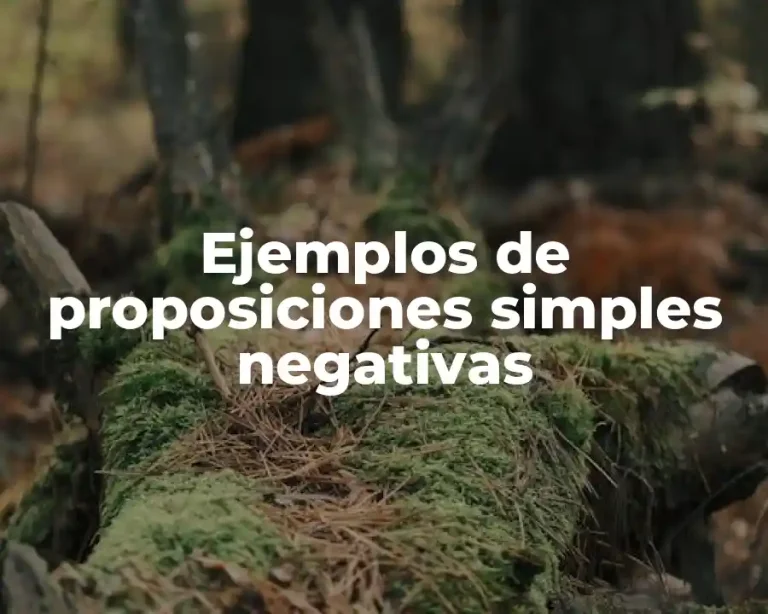 Ejemplos de proposiciones simples negativas
