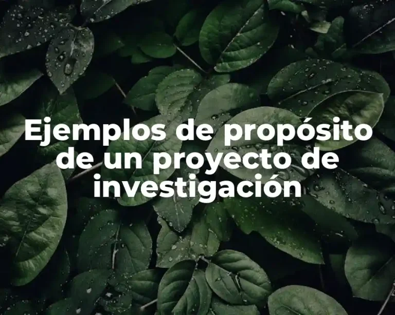 Ejemplos de propósito de un proyecto de investigación