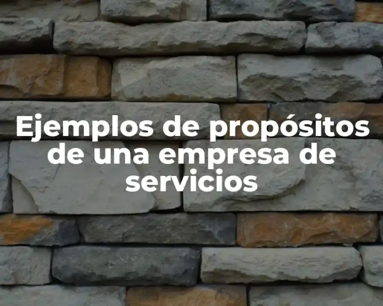 Ejemplos de propósitos de una empresa de servicios