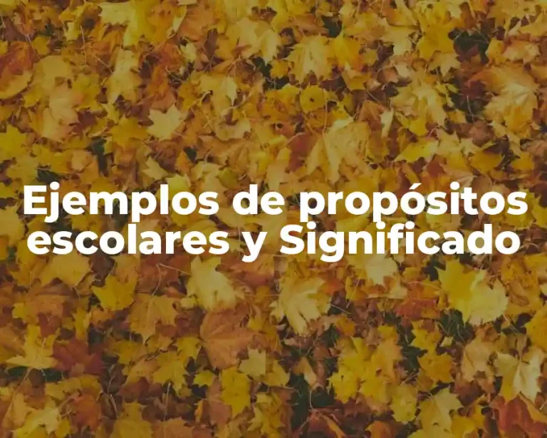 Ejemplos de propósitos escolares y Significado