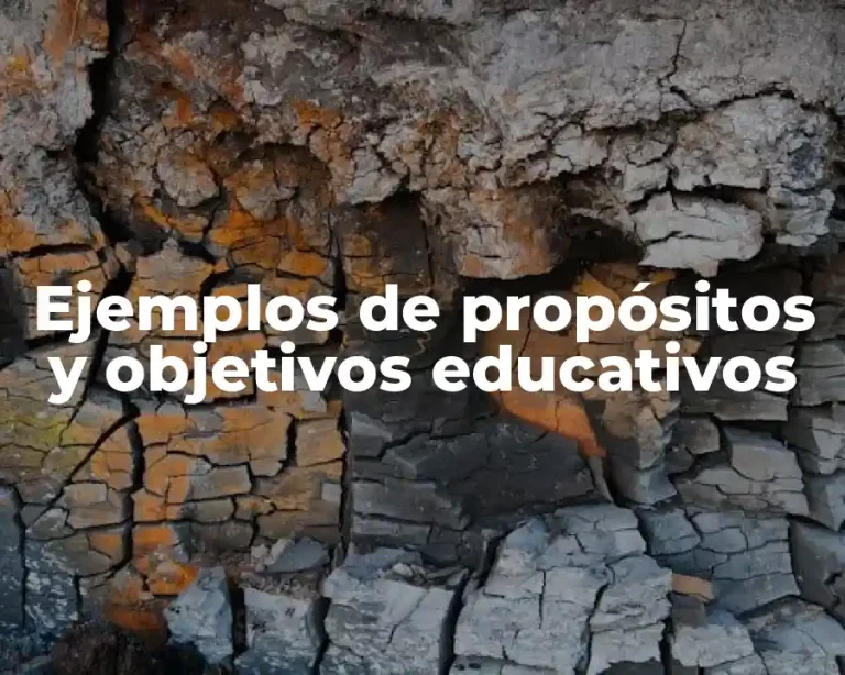 Ejemplos de propósitos y objetivos educativos