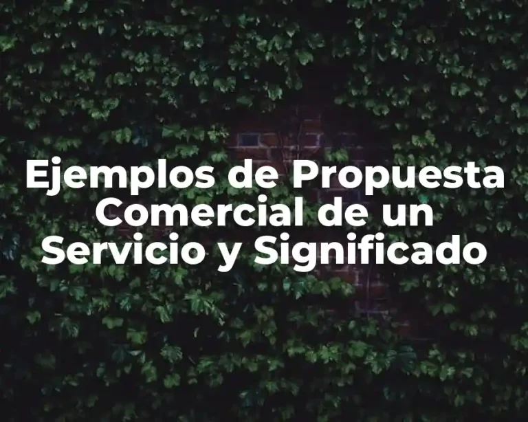Ejemplos de Propuesta Comercial de un Servicio y Significado