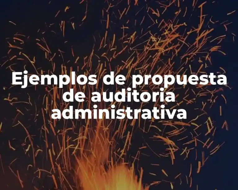 Ejemplos de propuesta de auditoria administrativa