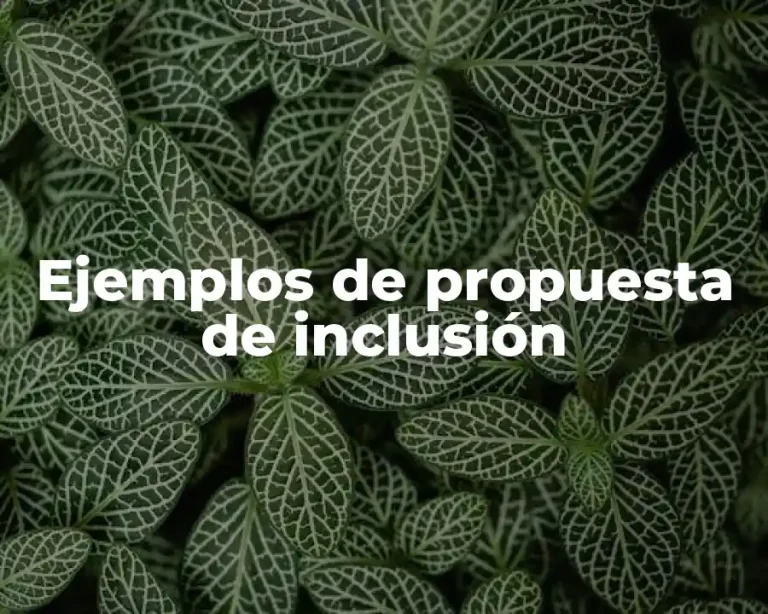 Ejemplos de propuesta de inclusión