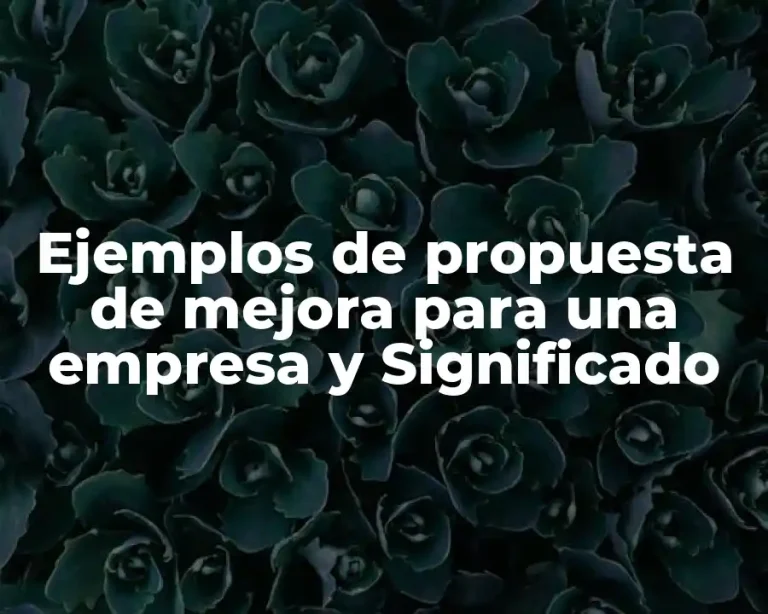 Ejemplos de propuesta de mejora para una empresa y Significado