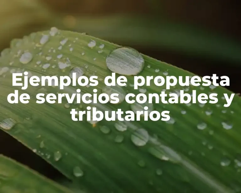 Ejemplos de propuesta de servicios contables y tributarios