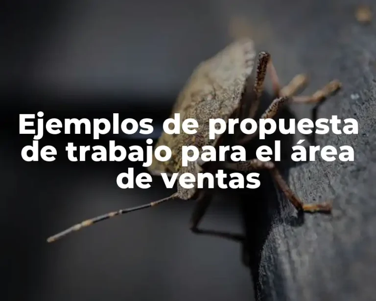 Ejemplos de propuesta de trabajo para el área de ventas