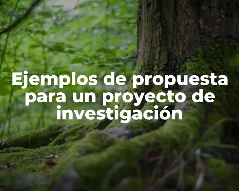 Ejemplos de propuesta para un proyecto de investigación