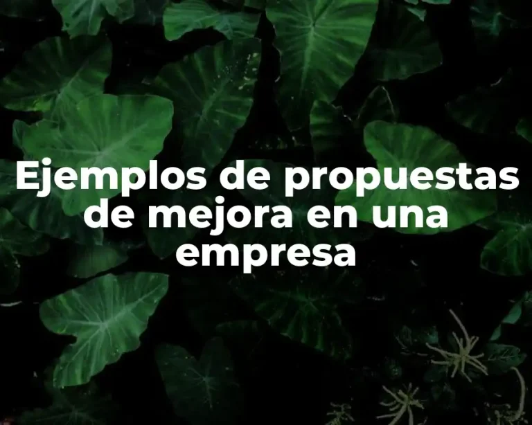 Ejemplos de propuestas de mejora en una empresa
