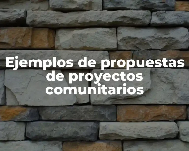 Ejemplos de propuestas de proyectos comunitarios