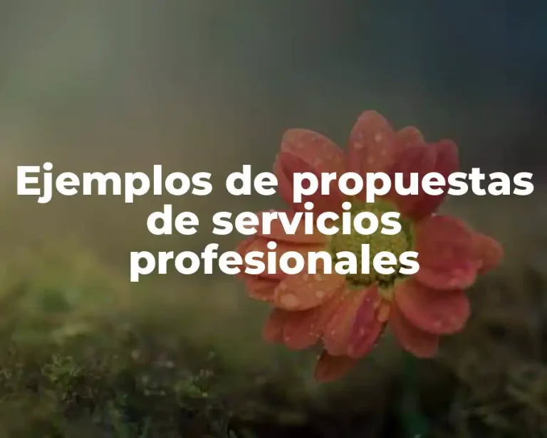 Ejemplos de propuestas de servicios profesionales