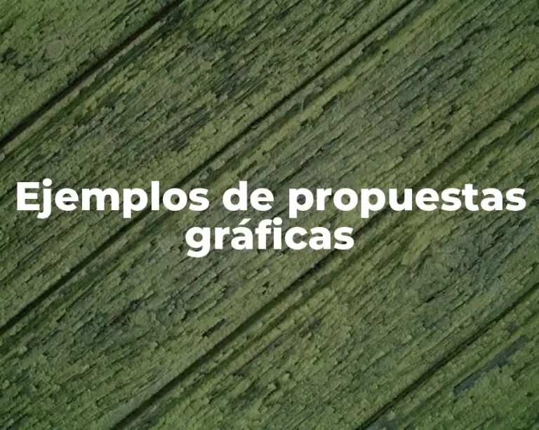 Ejemplos de propuestas gráficas