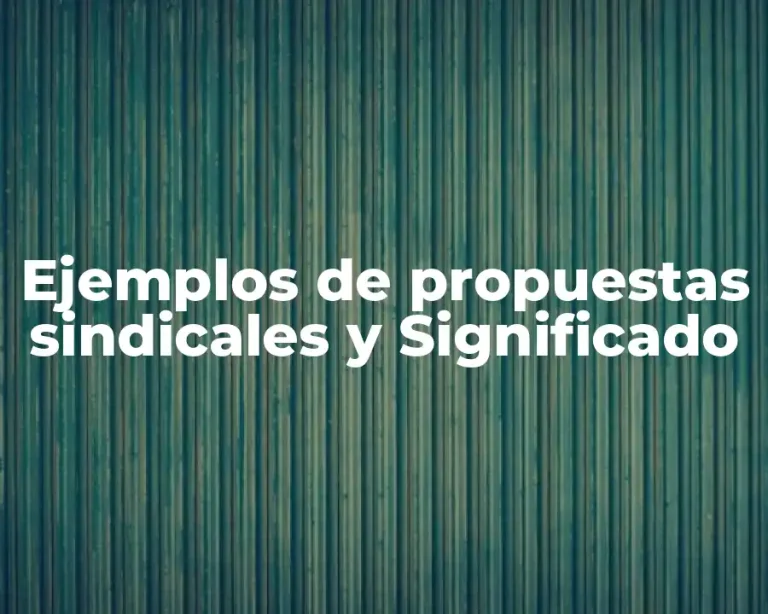 Ejemplos de propuestas sindicales y Significado