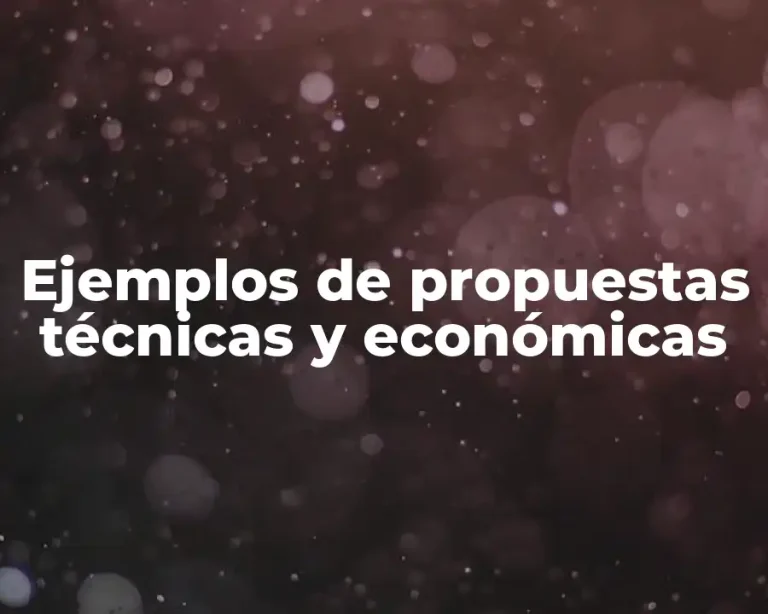 Ejemplos de propuestas técnicas y económicas