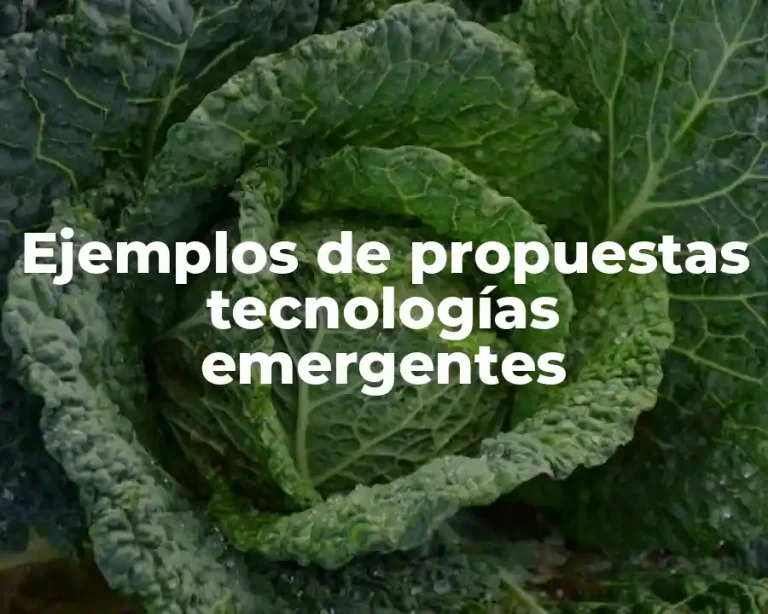Ejemplos de propuestas tecnologías emergentes