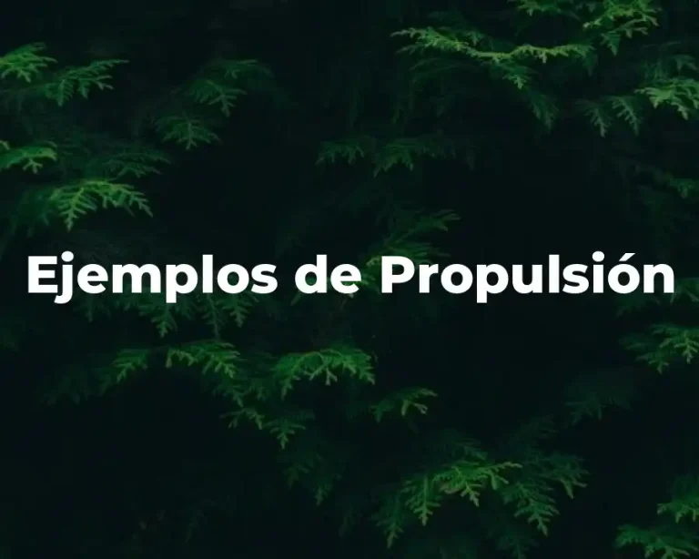 Ejemplos de Propulsión