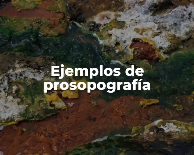 Ejemplos de prosopografía