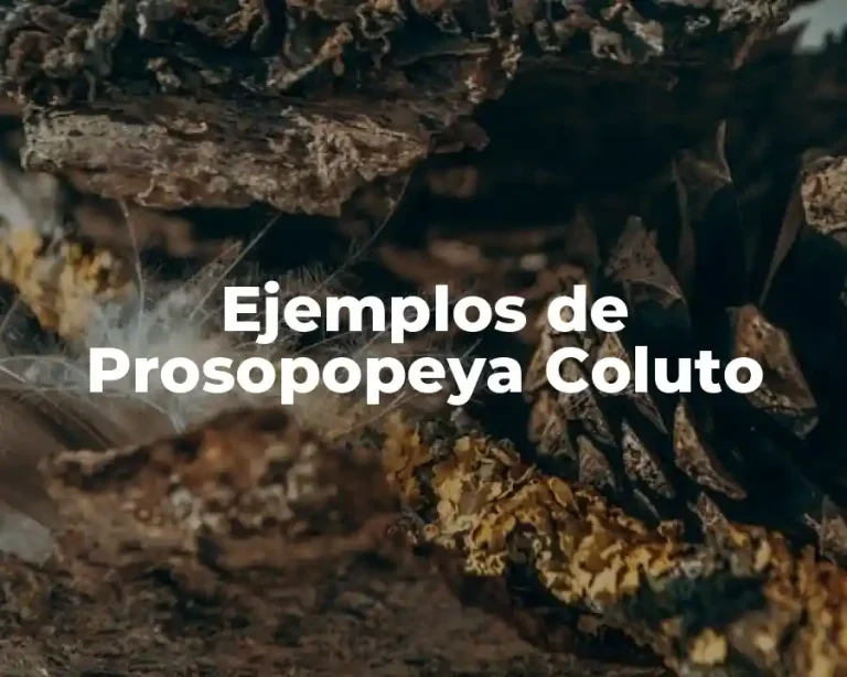 Ejemplos de Prosopopeya Coluto
