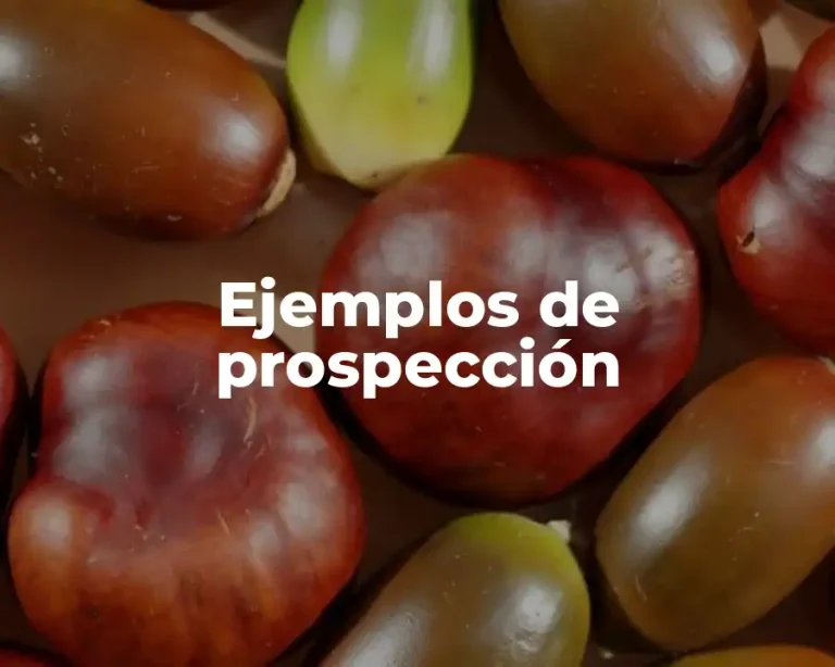 Ejemplos de prospección