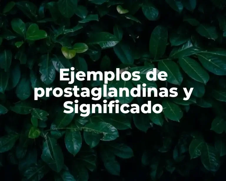 Ejemplos de prostaglandinas y Significado