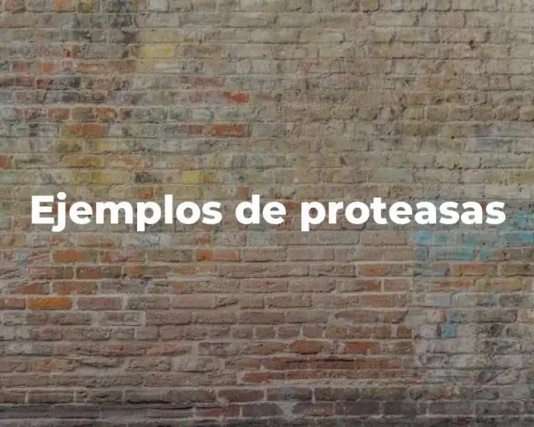 Ejemplos de proteasas