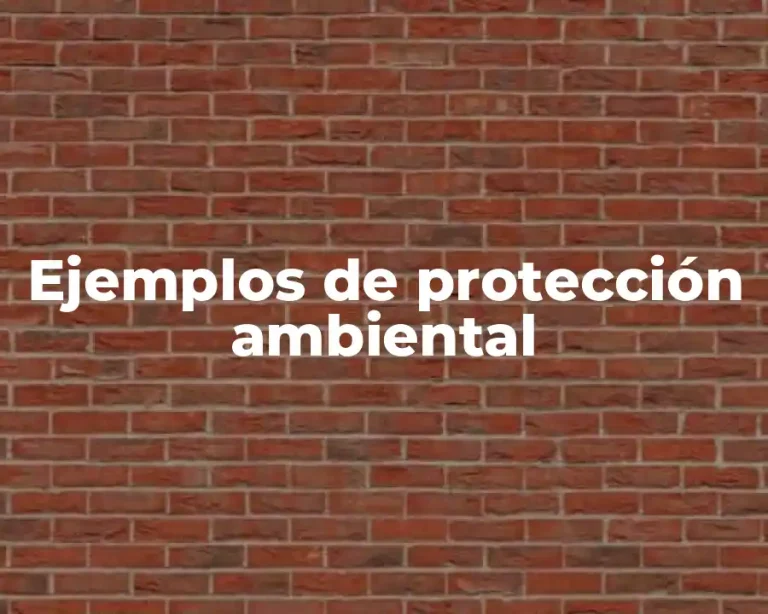 Ejemplos de protección ambiental