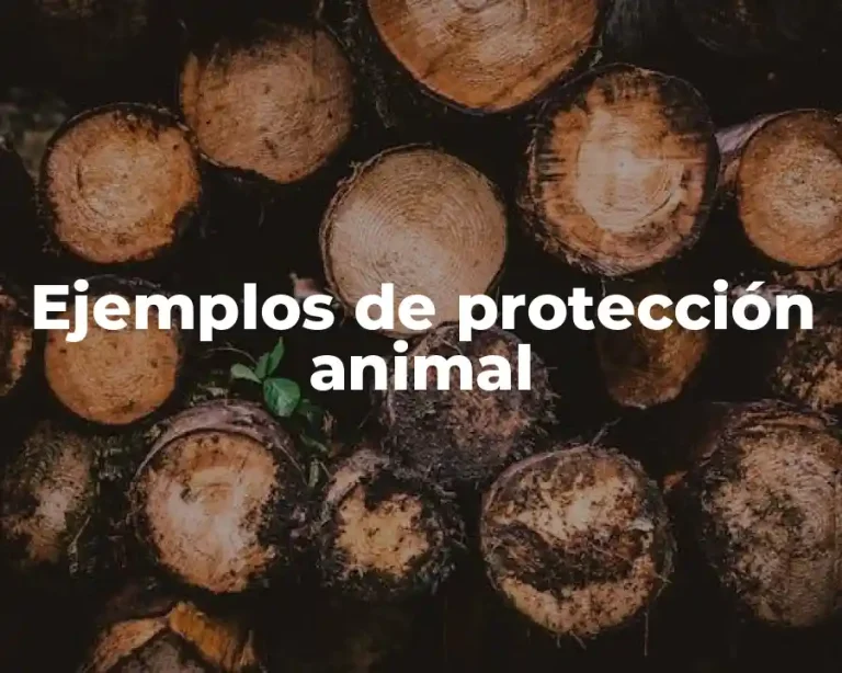 Ejemplos de protección animal