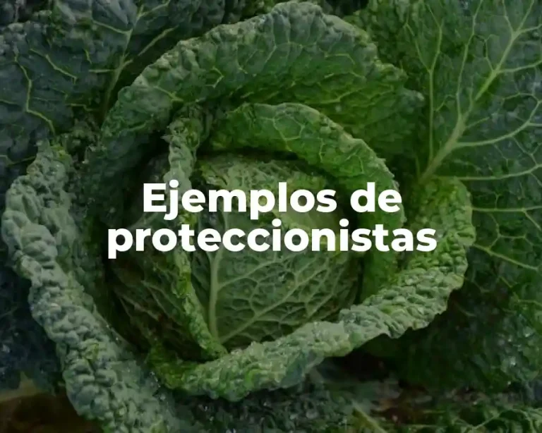 Ejemplos de proteccionistas