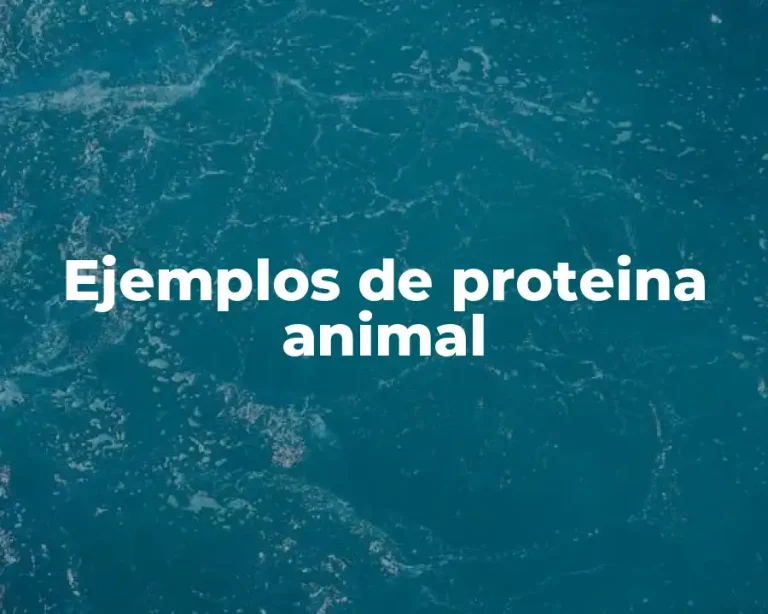 Ejemplos de proteina animal